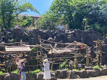 伊豆シャボテン動物公園に投稿された画像（2026/5/2）