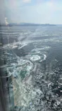 徳島県立 渦の道に投稿された画像（2026/5/2）