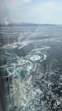 徳島県立 渦の道に投稿された画像（2026/5/2）
