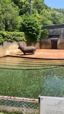 名古屋市東山動植物園に投稿された画像（2026/5/2）