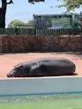 東武動物公園に投稿された画像（2026/5/2）