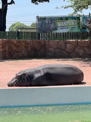 東武動物公園に投稿された画像（2026/5/2）