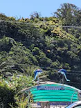 下田海中水族館に投稿された画像（2026/5/2）