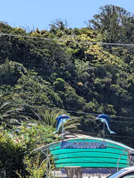 下田海中水族館に投稿された画像（2026/5/2）