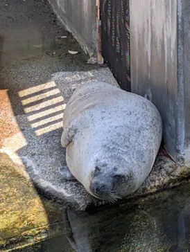 下田海中水族館に投稿された画像（2026/5/2）