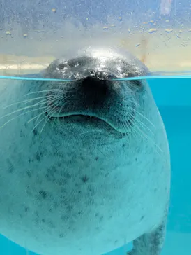 下田海中水族館に投稿された画像（2026/5/2）