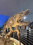 福井県立恐竜博物館に投稿された画像（2026/5/2）