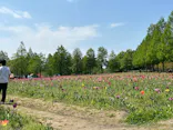 滋賀農業公園ブルーメの丘に投稿された画像（2026/5/2）