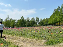 滋賀農業公園ブルーメの丘に投稿された画像（2026/5/2）