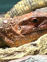 サンシャイン水族館に投稿された画像（2026/5/2）