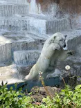 天王寺動物園に投稿された画像（2026/5/2）