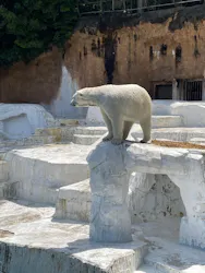 天王寺動物園に投稿された画像（2026/5/2）