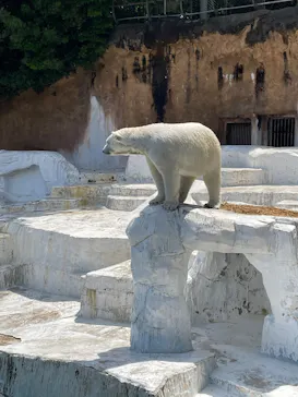天王寺動物園に投稿された画像（2026/5/2）