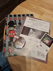 にゃんこ博覧会2026に投稿された画像（2026/5/2）