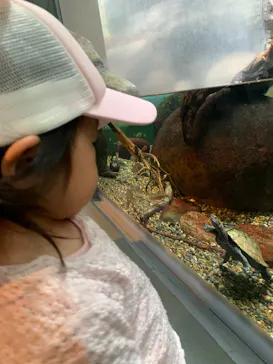 世界淡水魚園水族館　アクア・トトぎふに投稿された画像（2026/5/2）