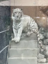 東武動物公園に投稿された画像（2026/5/2）