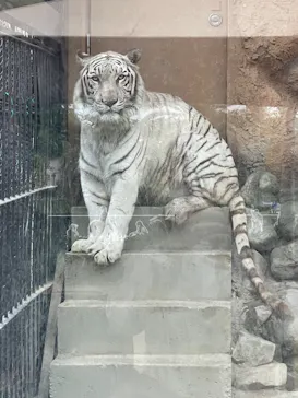 東武動物公園に投稿された画像（2026/5/2）