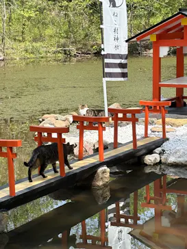 秋吉台自然動物公園 サファリランドに投稿された画像（2026/5/2）