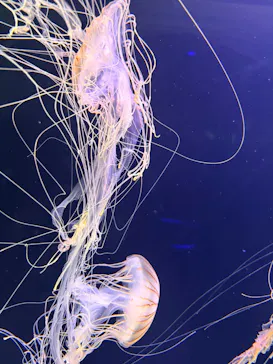 仙台うみの杜水族館に投稿された画像（2026/5/2）
