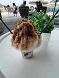 大分マリーンパレス水族館 「うみたまご」に投稿された画像（2026/5/2）