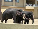 天王寺動物園に投稿された画像（2026/5/2）