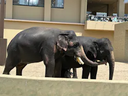 天王寺動物園に投稿された画像（2026/5/2）