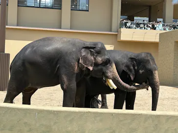 天王寺動物園に投稿された画像（2026/5/2）