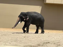 天王寺動物園に投稿された画像（2026/5/2）