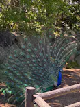 伊豆シャボテン動物公園に投稿された画像（2026/5/2）