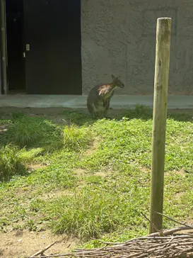 名古屋市東山動植物園に投稿された画像（2026/5/2）