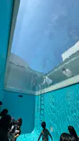 金沢21世紀美術館に投稿された画像（2026/5/2）