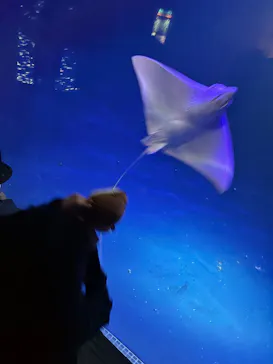 大分マリーンパレス水族館 「うみたまご」に投稿された画像（2026/5/2）
