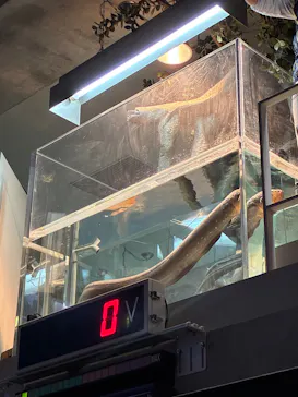 大分マリーンパレス水族館 「うみたまご」に投稿された画像（2026/5/2）