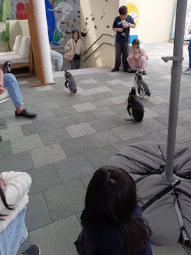 大分マリーンパレス水族館 「うみたまご」に投稿された画像（2026/5/2）