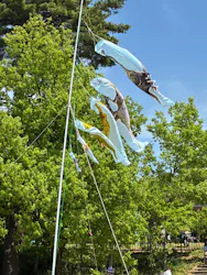 福井県立恐竜博物館に投稿された画像（2026/5/2）