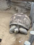 恩賜上野動物園に投稿された画像（2026/5/2）