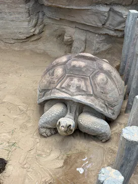 恩賜上野動物園に投稿された画像（2026/5/2）