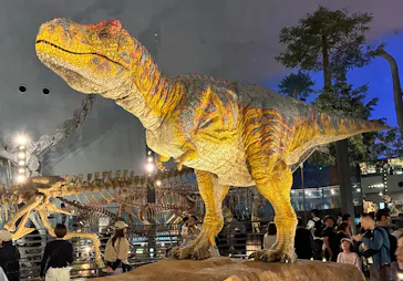 福井県立恐竜博物館に投稿された画像（2026/5/2）