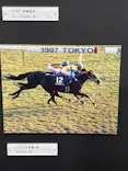 武豊 デビュー40年 ～前人未到の記録～　（銀座三越）に投稿された画像（2026/5/2）