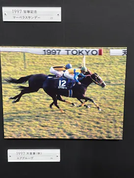 武豊 デビュー40年 ～前人未到の記録～　（銀座三越）に投稿された画像（2026/5/2）