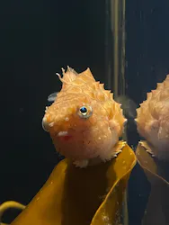 環境水族館アクアマリンふくしまに投稿された画像（2026/5/2）