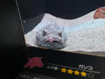 環境水族館アクアマリンふくしまに投稿された画像（2026/5/2）