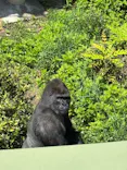 名古屋市東山動植物園に投稿された画像（2026/5/2）