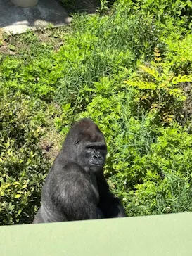 名古屋市東山動植物園に投稿された画像（2026/5/2）
