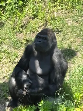 名古屋市東山動植物園に投稿された画像（2026/5/2）