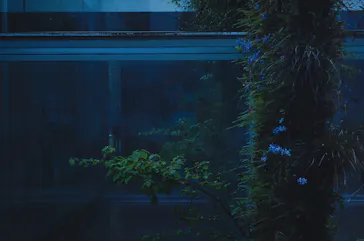 金沢21世紀美術館に投稿された画像（2026/5/2）