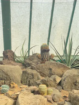 伊豆シャボテン動物公園に投稿された画像（2026/5/2）