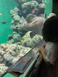葛西臨海水族園に投稿された画像（2026/5/2）
