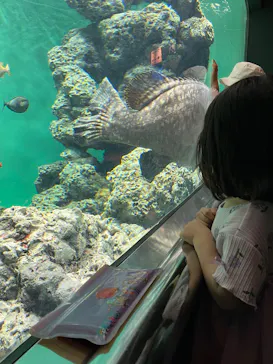 葛西臨海水族園に投稿された画像（2026/5/2）
