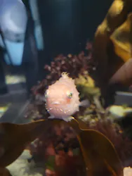 環境水族館アクアマリンふくしまに投稿された画像（2026/5/2）